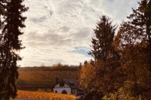 PHOTO-2025-10-10-17-52-02