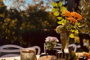 PHOTO-2025-10-10-17-52-58