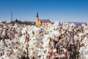 PHOTO-2025-10-10-18-32-42