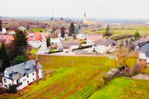 PHOTO-2025-10-11-17-33-41